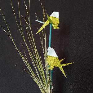Composition plante...
